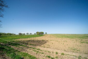 Exkluzívne Vám ponúkame NA PREDAJ – stavebné pozemky – v obc