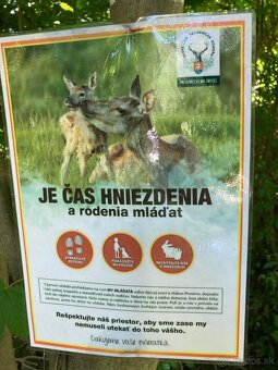 Predám pozemky v krásnom malebnom prostredí.
Cena 1,97€
Pred