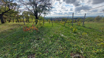 Ponúkame na predaj pozemok o výmere 1333 m2 v Leviciach - Do
