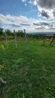 Ponúkame na predaj pozemok o výmere 1333 m2 v Leviciach - Do