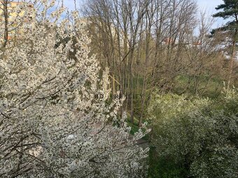 Hľadáte štartovacie bývanie, do ktorého si stačí priniesť os