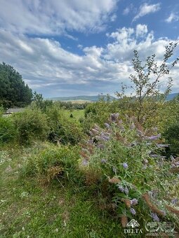 DELTA PROPERTY Vám ponúka na predaj chatu s veľkým pozemkom 
