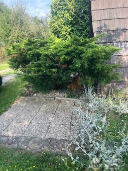 DELTA PROPERTY Vám ponúka na predaj chatu s veľkým pozemkom 