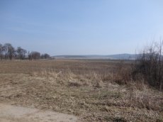 LCF REAL ponúka na predaj ornú pôdu s vysokou bonitou o výme