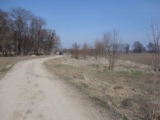 LCF REAL ponúka na predaj ornú pôdu s vysokou bonitou o výme