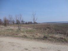 LCF REAL ponúka na predaj ornú pôdu s vysokou bonitou o výme