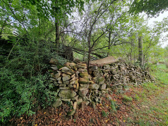 REALITY PROGRES, s.r.o. PONÚKA RODINNÝ DOM na pozemku 1581 m