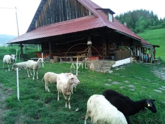 Sme AVILA. Už roky spájame ľudí s ich novým domovom. Zavolaj