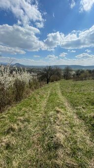Realitná kancelária AVLAS REALITY Vám ponúka na predaj inves