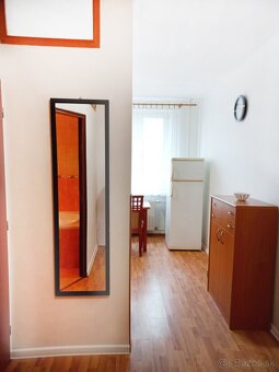 So súhlasom majiteľa ponúkame na prenájom 1-izbový zariadený