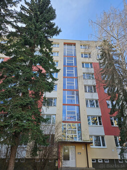Ponúkame na predaj nadštandardne zrekonštruovaný 2-izbový by