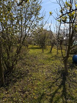 Ponúkam na predaj záhradu o výmere 444 m², nachádzajúcu sa v
