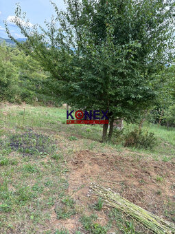 ID:2636
Ponúkame na predaj útulnú rekreačnú chatku situovanú