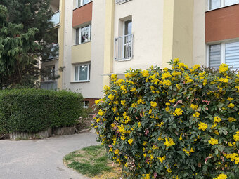 Ponúkame exkluzívne na predaj, starší, ale útulný 2 izb. byt