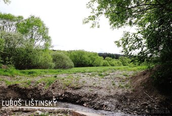 Ponúkam Vám na predaj pozemok – trvalý trávnatý porast o vým