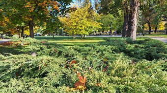 Ďalšia zaujímavá ponuka tehlového bytu v Košiciach v Starom 