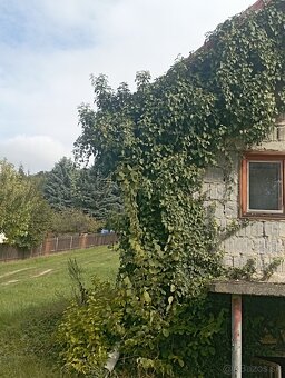 Výhradný predaj veľkého pozemku s chatkou (v zastavanej čast