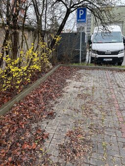 Ponúkame Vám na prenájom 3 izbový byt  na adrese: Lichardova