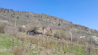 Predam chatu v Hrušove s krásnym vyhladom na udolie a tichym