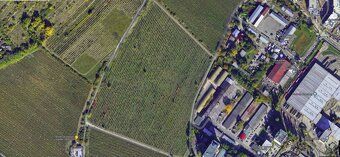Vo vinohradoch pod úpätím Malých Karpát v lokalite Slanec je