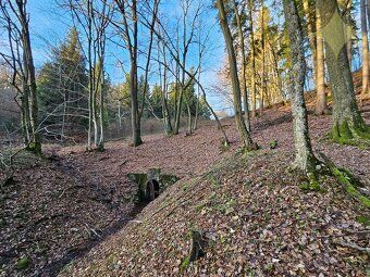 Unikátny pozemok 2,8 ha v UNESCO zóne – Štiavnické Bane (Ric