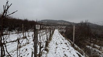 Typ: Vinice Ulica: Pezinok Obec: Pezinok
REZERVOVANÉ
F004-14