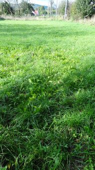 Typ: Záhrada Ulica: Mirkovce Obec: Prešov
Ponúkame na predaj