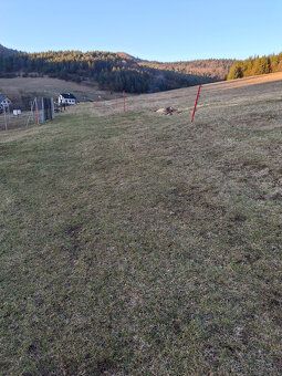 Ponúkame na predaj ornú pôdu o výmere 3830 m2 ,šírka pozemku
