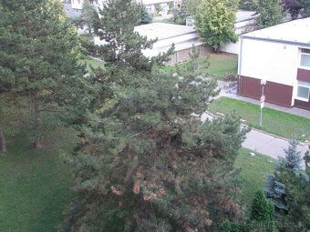 Ponúkame Vám od 1.5.2026 NA PRENÁJOM 2-izbový byt o výmere 5