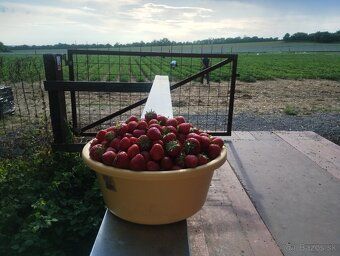 Začni letnú sezónu na vlastnej chate na skok od vodnej ploch