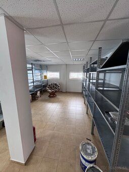 Ponúkame na prenájom nebytové priestory, ktoré sú vhodné ako