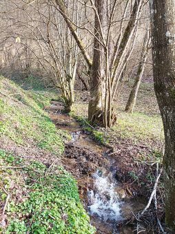 Ponúkame na predaj rodinný dom s krásnym slnečným pozemkom n