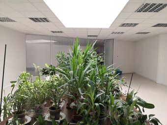 Ponúkame na prenájom open-space kancelárske priestory v Star