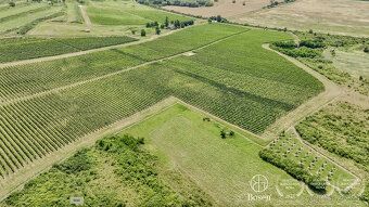 Typ: Vinice Obec: Slovenské Nové Mesto
Realitná kancelária B