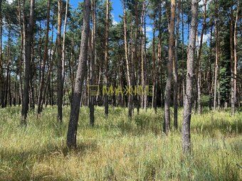 Ponúkame na predaj pozemok o výmere 4223 m2 v  extraviláne o