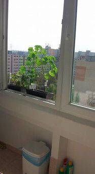 NOVINKA V PONUKE IBA U NÁS!!
Ponúkame Vám na prenájom netrad