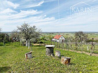 KARIN & PARTNERS Vám ponúka na predaj murovaný vinohradnícky