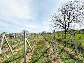 KARIN & PARTNERS Vám ponúka na predaj murovaný vinohradnícky