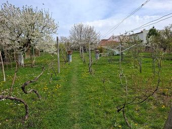 Predstavte si ráno s kávou na vlastnom pozemku, ticho, pokoj