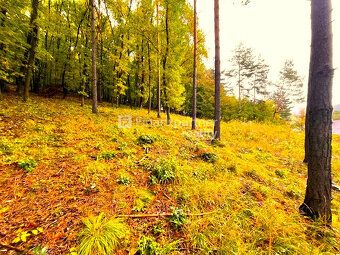 Typ: Rekreačné pozemky Obec: Drienica
F514-14-ANM V nádherne