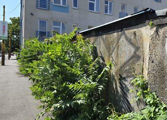 Predaj garáž Bocatiova Košice po rekonštrukcii.
Ponúkame na 