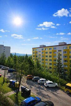Ponúkam na predaj slnečný 1-izbový byt typu Bauring na vyhľa