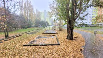 Ponúkame na prenájom veľmi pekný, slnečný, kompletne zariade