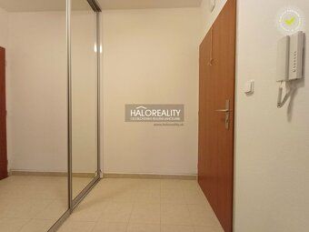 Realitná kancelária HALO reality a Martina Makovinská, konta