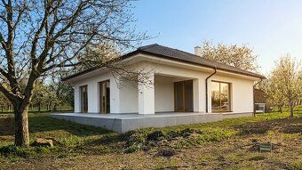 Ponúkane na predaj nízkoenergetické bungalovy v projekte Veľ