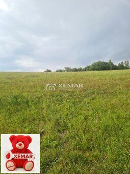 XEMAR (milan.mlcal@xemar.sk alebo 0915 870 350), ponúka na p
