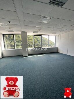 XEMAR (monika.bruchanikova@xemar.sk, alebo 0944 107 803) pon