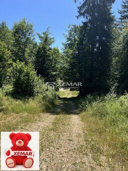 XEMAR (kristina.jurgova@xemar.sk | 0948 385 289), ponúka NA 