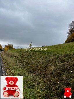 XEMAR (erika.hudecova@xemar.sk alebo 0907 925 099), ponúka n