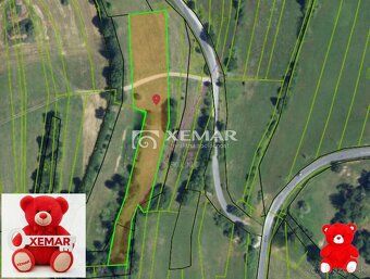 XEMAR (erika.hudecova@xemar.sk alebo 0907 925 099), ponúka n
